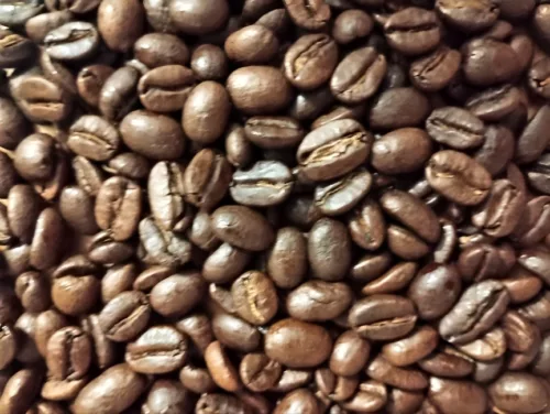 Close-up of Le Tom Café's Colombia - Le Fort roasted coffee beans showing rich, even coloration