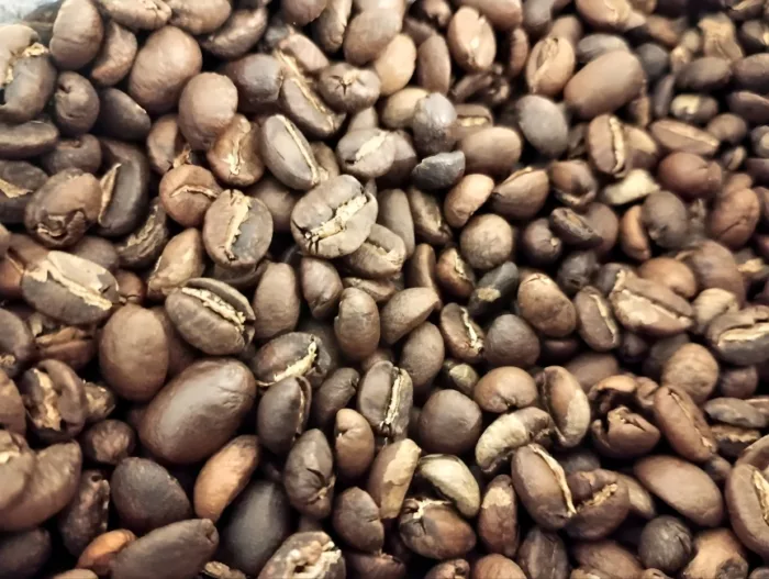 Close-up of freshly roasted Ethiopian coffee beans for Le Tom Café's Le Calme blend, showcasing varied hues and distinct bean shapes