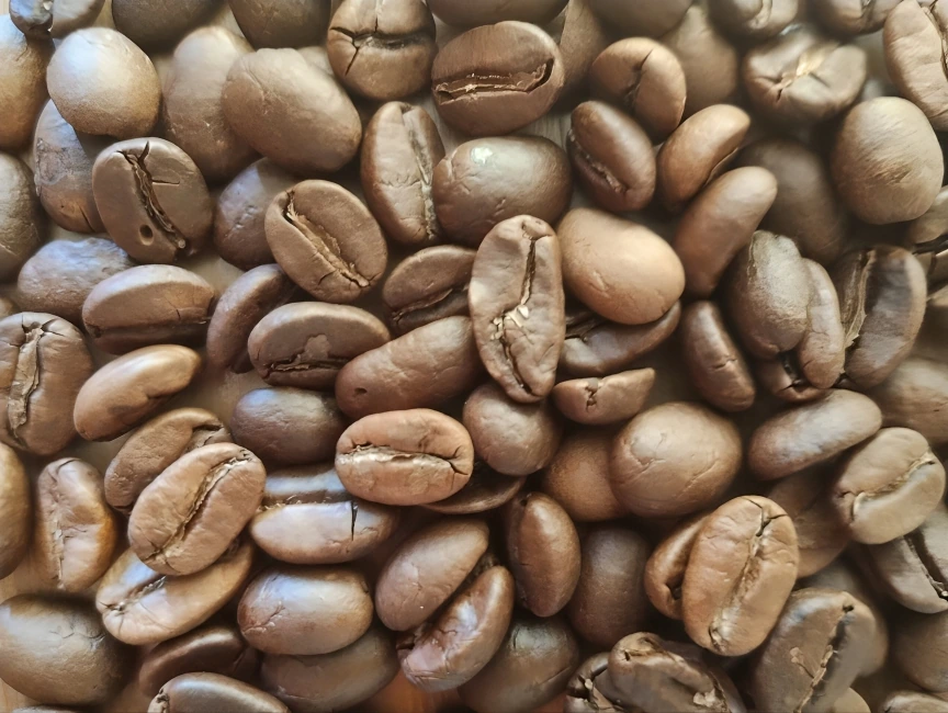 Close-up of freshly roasted Indian coffee beans for Le Tom Café's Le Soyeux blend, showcasing rich, dark coloration and glossy surface