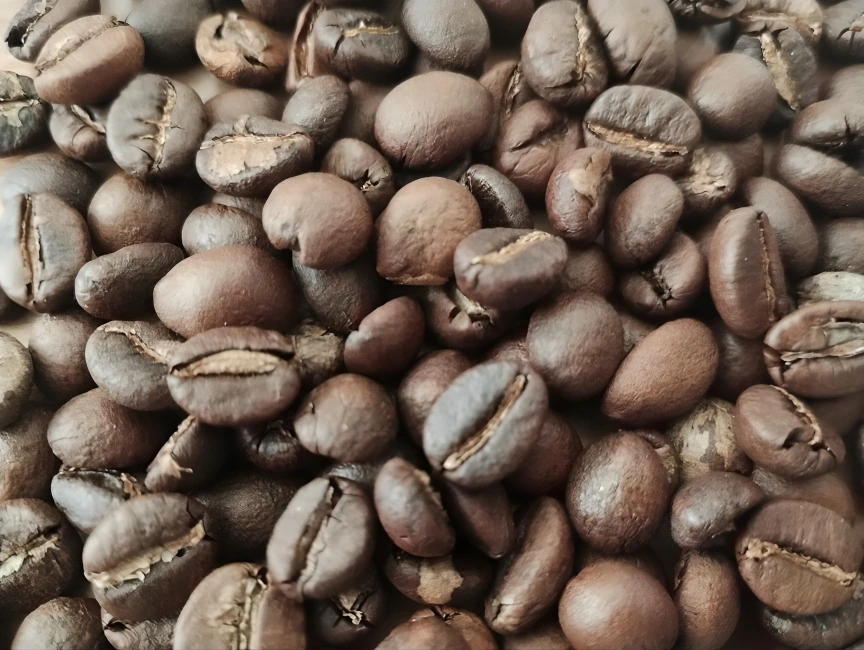 Close-up of freshly roasted Indian coffee beans for Le Tom Café's Le Soyeux blend, showcasing rich, dark coloration and glossy surface