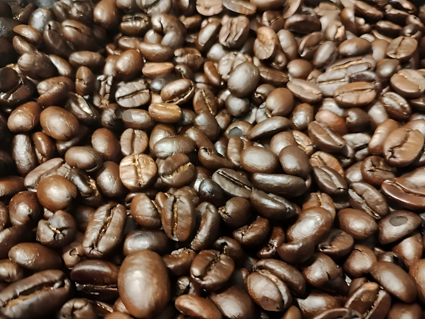 Close-up of freshly roasted Mexican coffee beans for Le Tom Café's Caballero blend, showcasing deep, dark coloration with a glossy surface