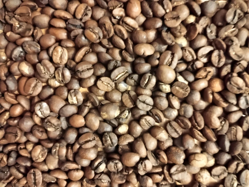 Close-up of freshly roasted coffee beans from Brazil, showing a variety of light to medium brown colors with visible oil sheen, characteristic of the Eldorado de Ibiraci speciality coffee.