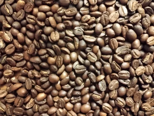 Close-up of Le Tom Café L'Everest medium roast coffee beans, showing a variety of rich brown hues and characteristic center splits