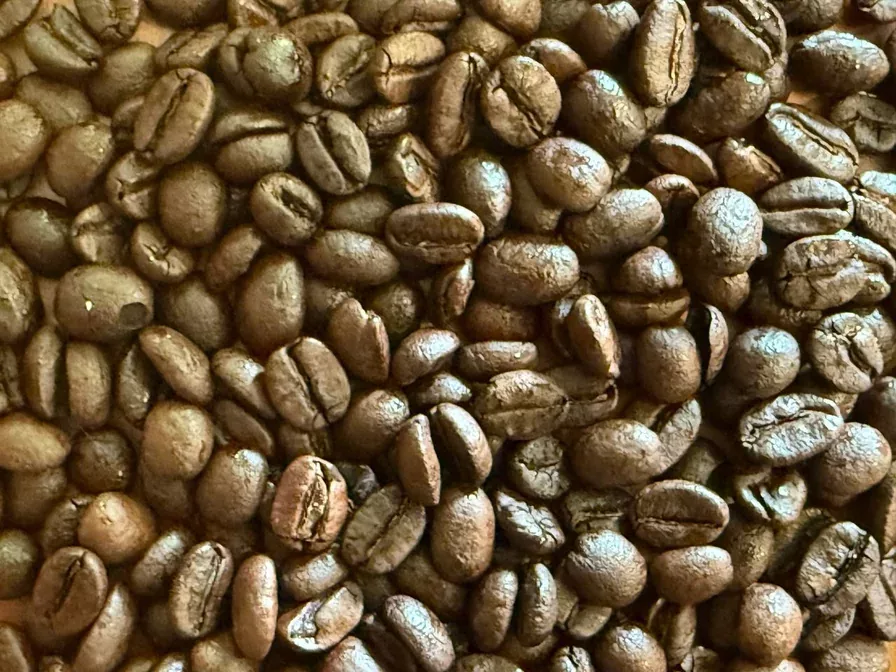 Dark roasted coffee beans showing rich oils and even roast color, classic Italian espresso blend with Brazilian, Colombian, and Indian beans.